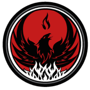 rise mma logo footer