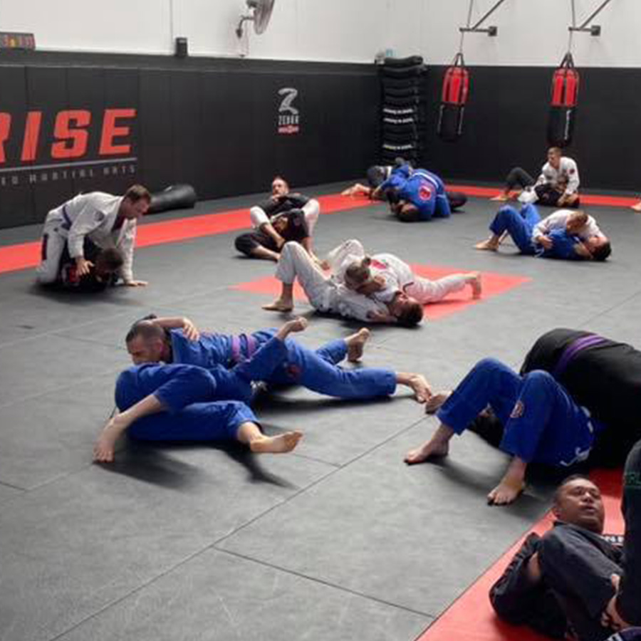 rise mma full classes syllabus